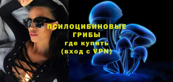 дживик Вязники