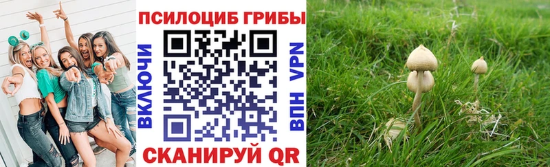 Псилоцибиновые грибы Cubensis  Ивангород 